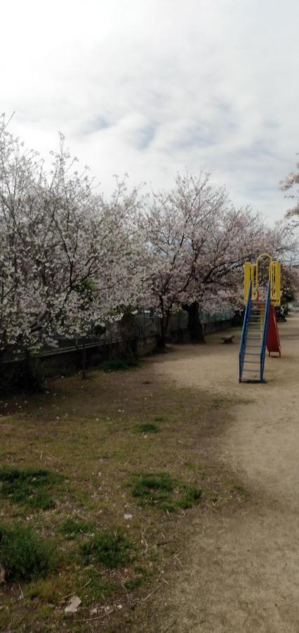 Cherry Blossom Koseicho Okayama Exterior photo